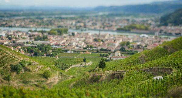 Les Côtes du Rhône, meilleurs vins de France